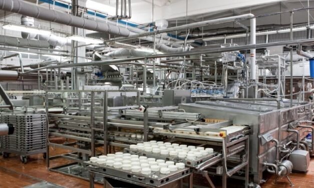How do dairy cooperatives contribute to the industry’s growth?