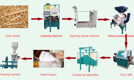What are the key advancements in grain milling equipment?