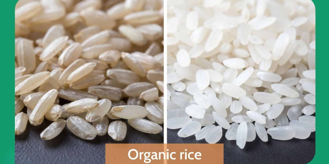 What are the market trends for organic rice?