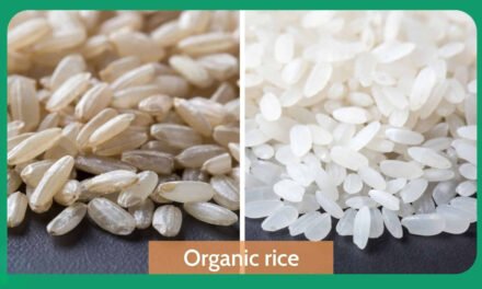 What are the market trends for organic rice?