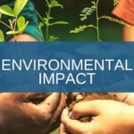 What are the environmental impacts of large-scale rice farming?