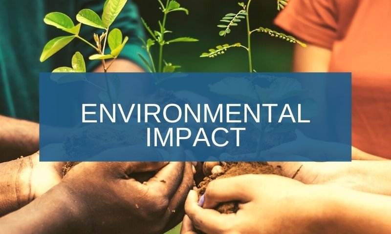 What are the environmental impacts of large-scale rice farming?