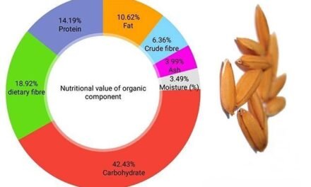 How does the milling process affect the nutritional value of rice?