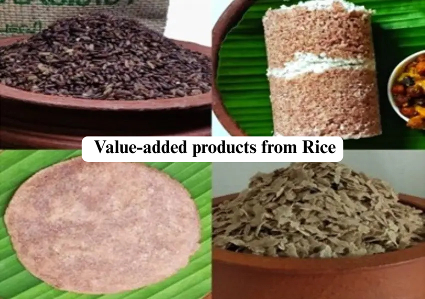 How is rice processed into value-added products?