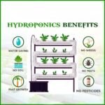 What are the benefits of hydroponics for growing fresh vegetables?