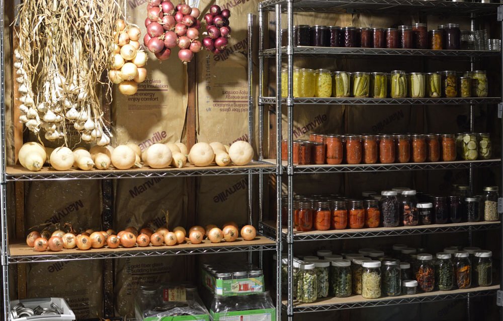 What are the best storage methods to maintain vegetable freshness post-harvest?