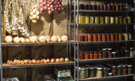 What are the best storage methods to maintain vegetable freshness post-harvest?