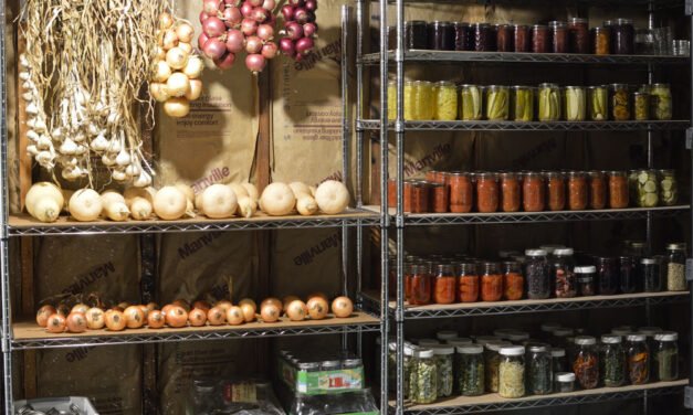 What are the best storage methods to maintain vegetable freshness post-harvest?