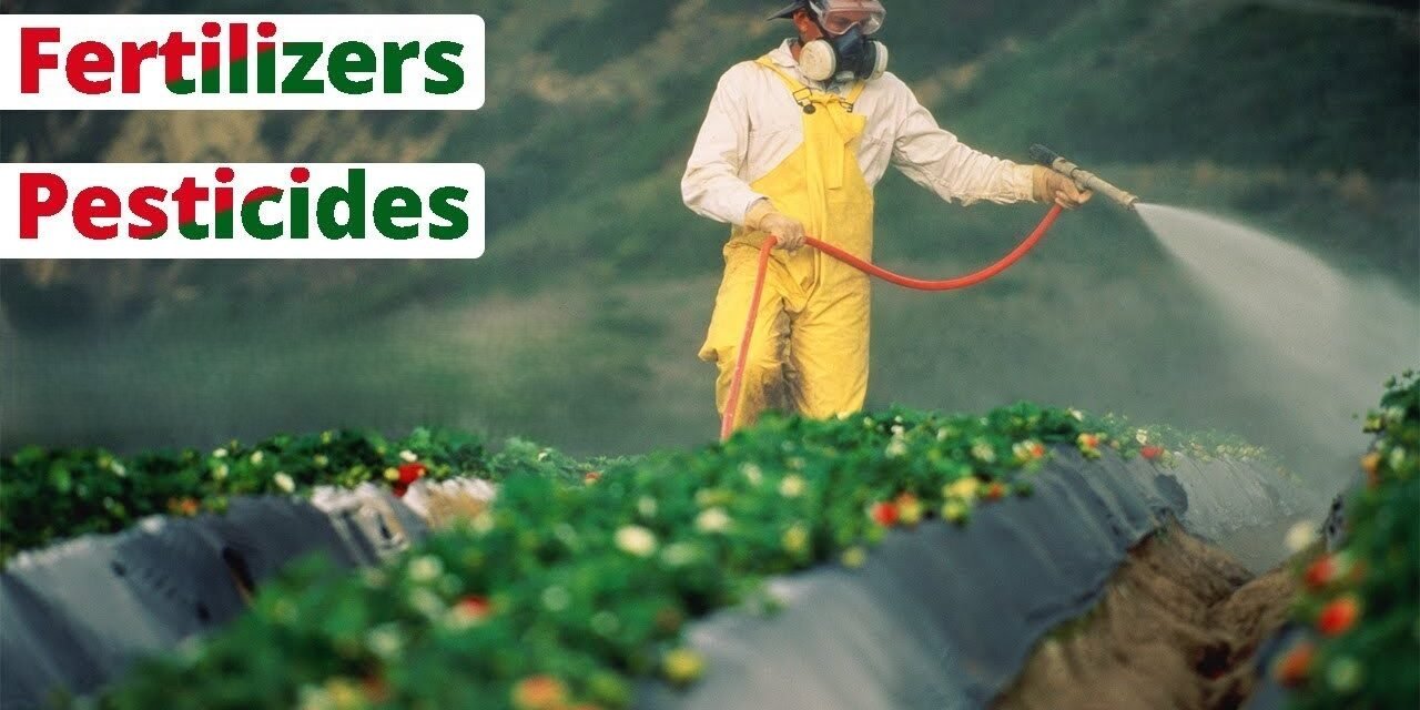 How do pesticides and fertilizers affect the quality of fresh vegetables?