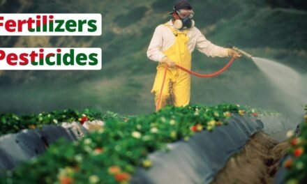 How do pesticides and fertilizers affect the quality of fresh vegetables?