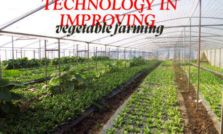 What is the role of technology in improving vegetable farming?