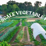 What are the essential tools for small-scale vegetable farming?