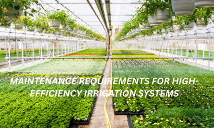 What are the maintenance requirements for high-efficiency irrigation systems?