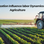 How does mechanization influence labor dynamics in agriculture?