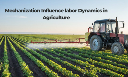 How does mechanization influence labor dynamics in agriculture?