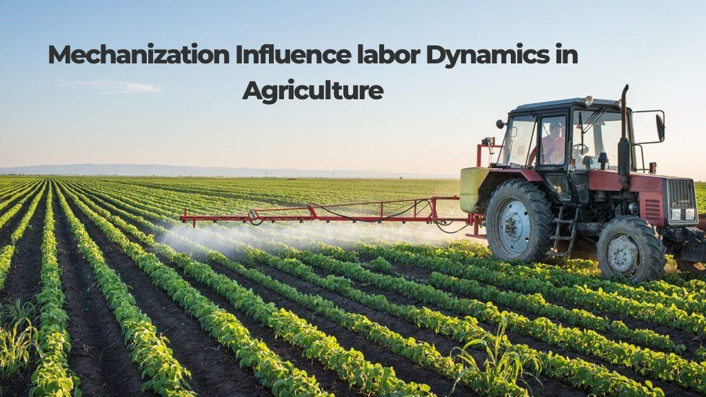 How does mechanization influence labor dynamics in agriculture?