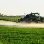 What are the different types of fertilizers available in the market?