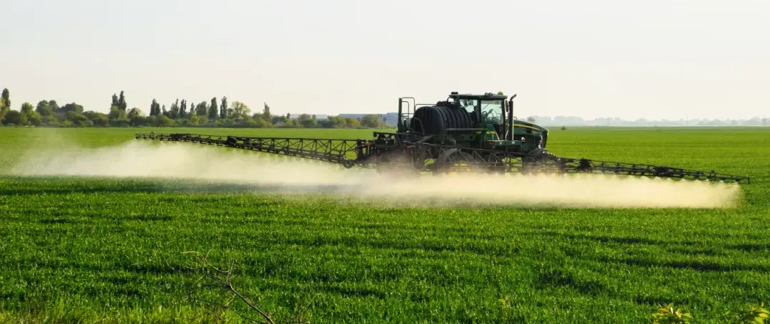 What are the different types of fertilizers available in the market?