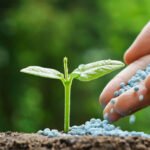 How can farmers minimize fertilizer wastage?