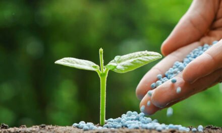 How can farmers minimize fertilizer wastage?