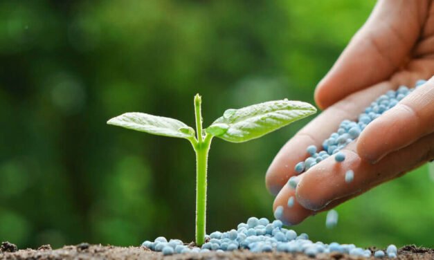 How can farmers minimize fertilizer wastage?