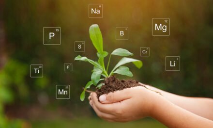 What are micronutrient fertilizers, and why are they important?