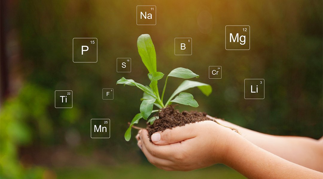 What are micronutrient fertilizers, and why are they important?