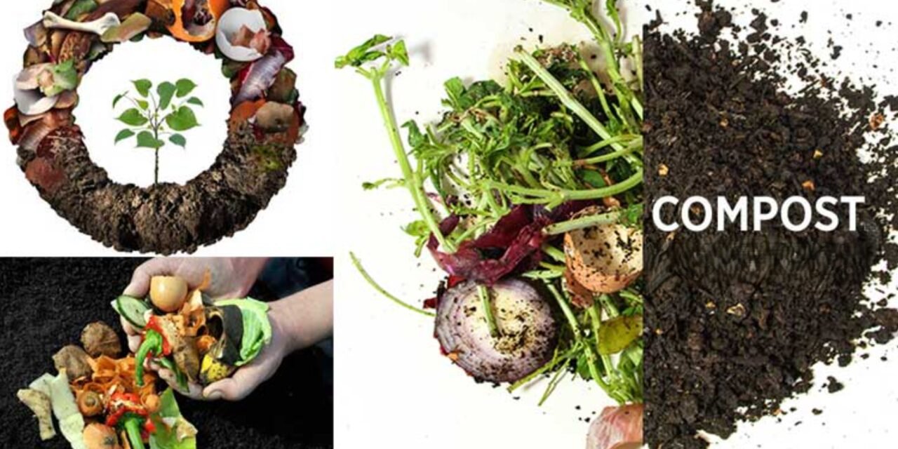 What is the role of compost as an organic fertilizer?