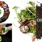 What is the role of compost as an organic fertilizer?