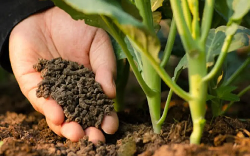 How do balanced fertilizers improve crop yields?
