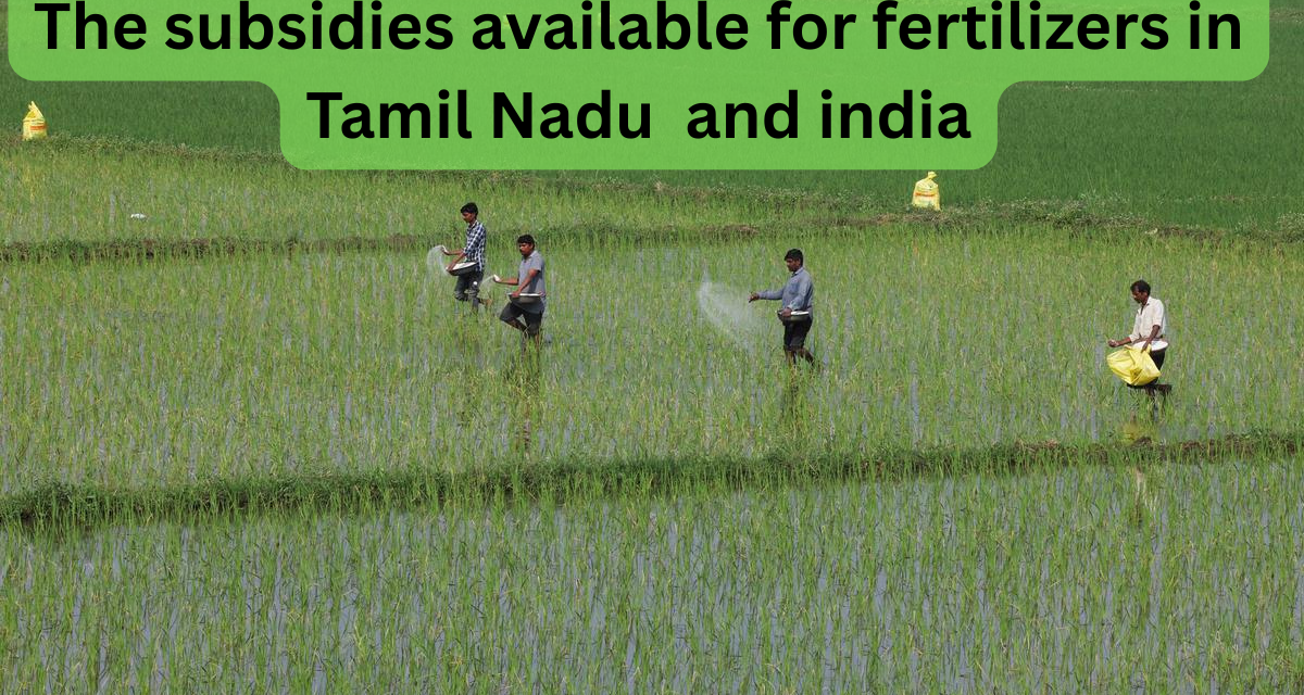 What are the subsidies available for fertilizers in Tamil Nadu/India?