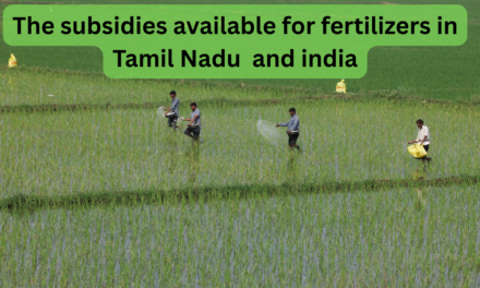 What are the subsidies available for fertilizers in Tamil Nadu/India?