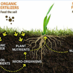 What are the key nutrients in fertilizers, and how do they benefit crops?