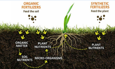 What are the key nutrients in fertilizers, and how do they benefit crops?