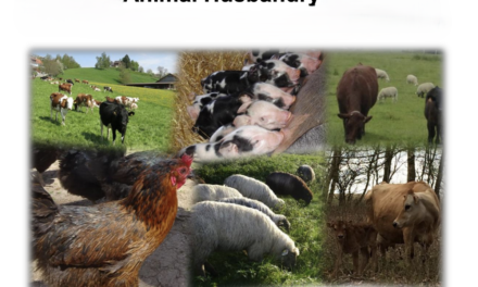 What are the best practices for sustainable animal husbandry in agriculture?