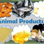 What are the ethical concerns surrounding the production of animal products?