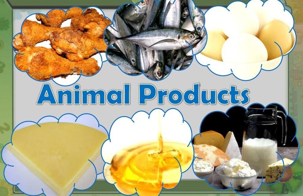 What are the ethical concerns surrounding the production of animal products?