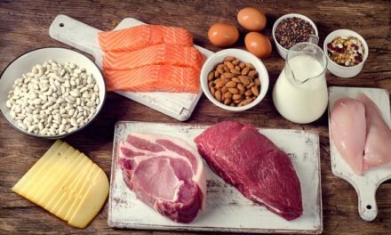 What are the nutritional benefits and drawbacks of animal products?