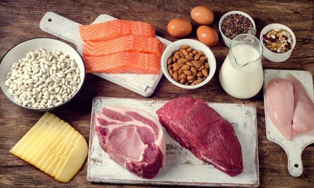 What are the nutritional benefits and drawbacks of animal products?